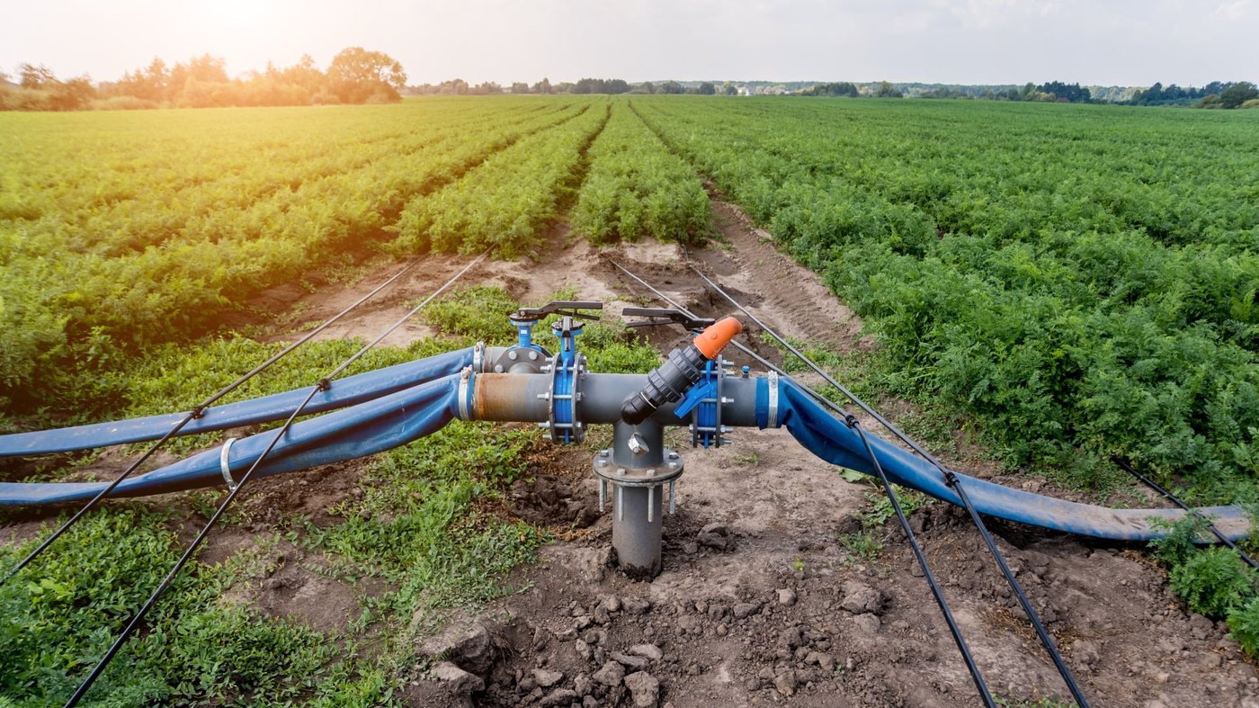 Irrigation network